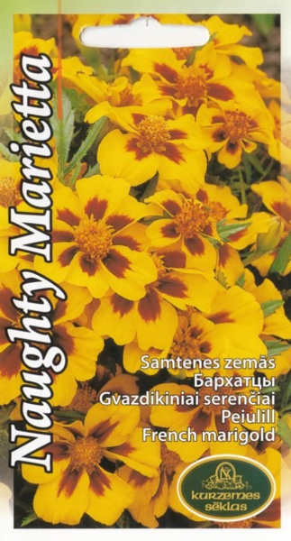 Samtenes Naughty Marietta