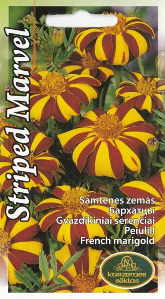 Samtenes Striped Marvel