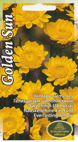 Salmenes Golden Sun