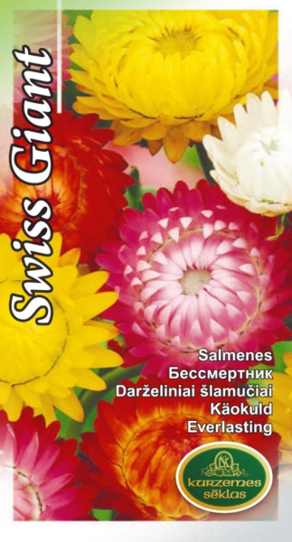 Salmenes Swiss Giant