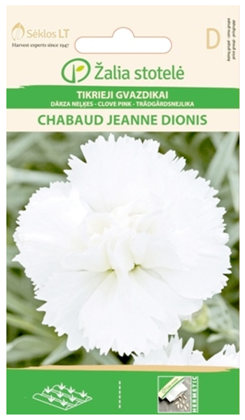 Neļķes CHABAUD JEANNE DIONIS White 0.4g