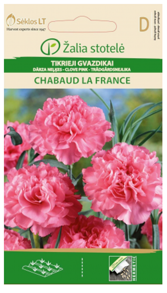 Neļķes CHABAUD LA FRANCE, Rose