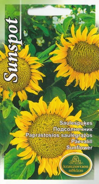 Saulespuķes Sunspot