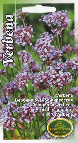 Verbena