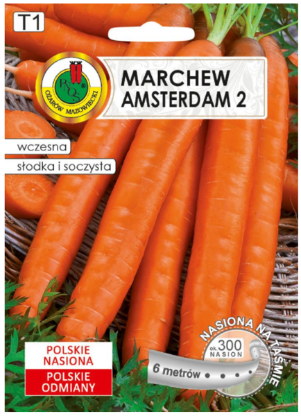 Burkāni Amsterdam 2 6m lenta