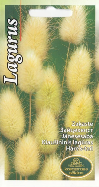 Olveida zaķaste