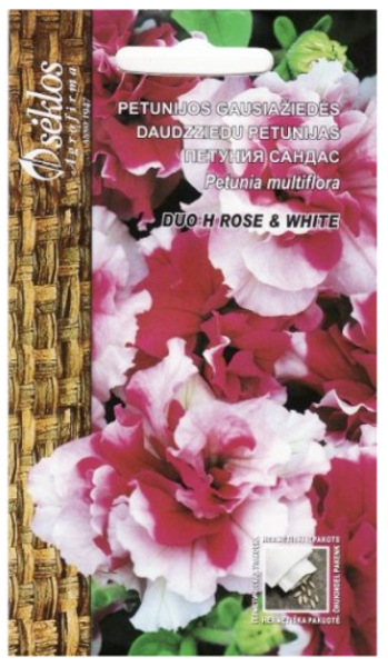 Petūnijas DUO H ROSE & WHITE