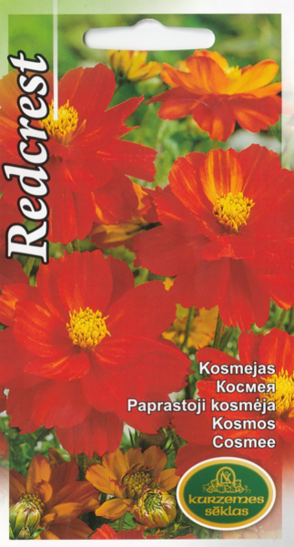 Cosmee Kosmejas Redcrest
