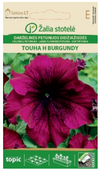 Petūnijas lielziedu TOUHA H BURGUNDY 20s