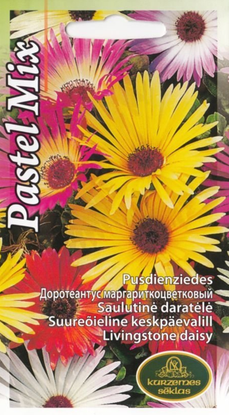 Pusdienziedes Pastel MIx