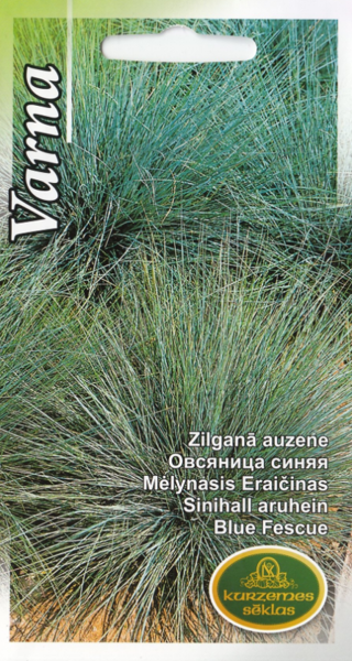 Auzene Varna