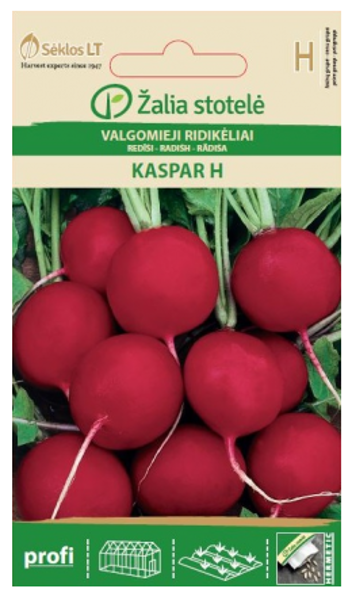 Redīsi KASPAR H 3g