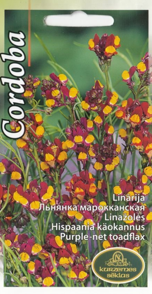 Linārija Cordoba