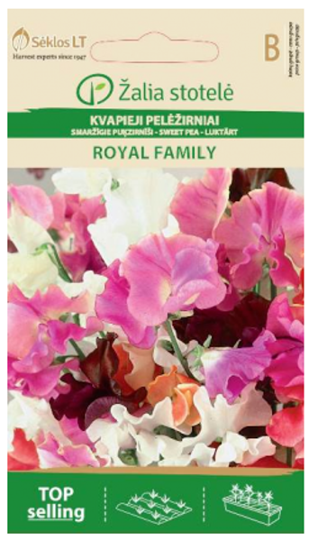 Puķzirnīši smaržīgie mix.Royal Family 3g