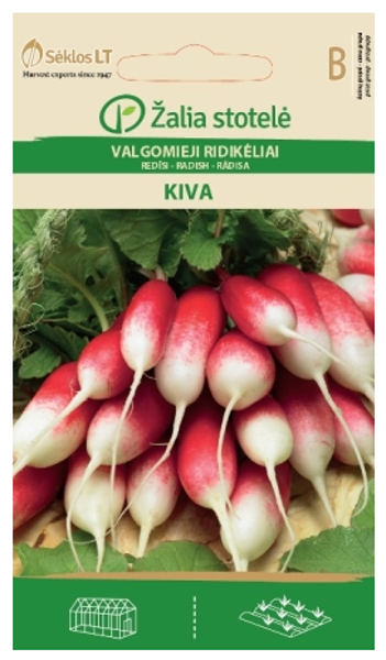 Redīsi KIVA 4g