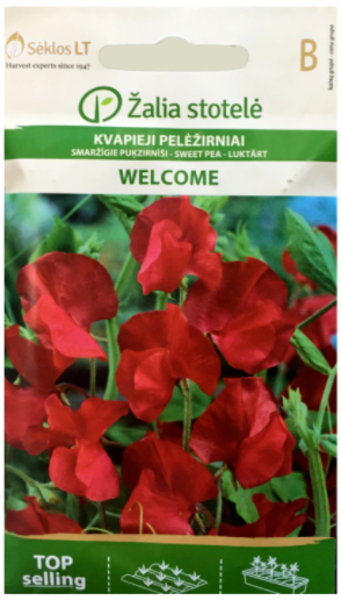 Puķzirnīši smaržīgie WELCOME 3g