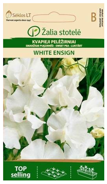 Puķzirnīši smaržīgie WHITE ENSIGN 2g