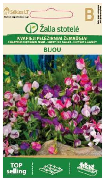 Puķzirnīši smaržīgie zemais mix Bijou