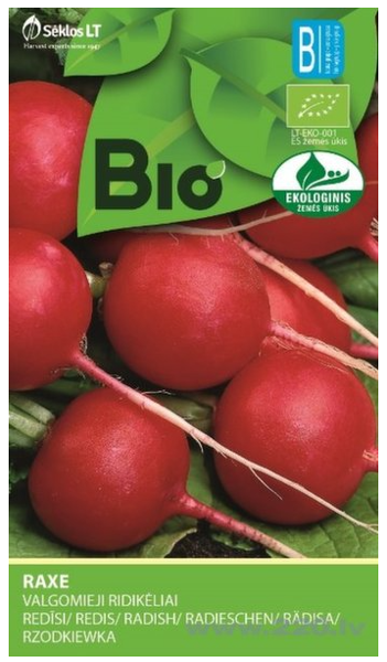 Redīsi Raxe (Bio) 2g
