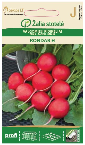 Redīsi Rondar H 3g