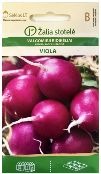 Redīsi VIOLA 3g