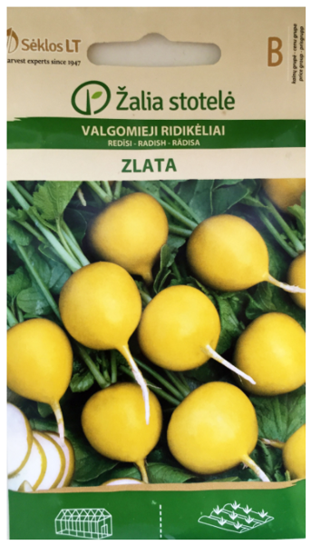 Redīsi ZLATA 5g