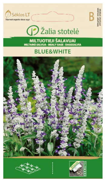 Salvija BLUE & WHITE 0.4g
