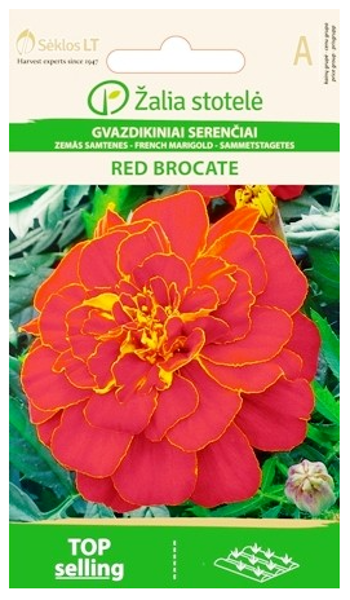 Samtenes zemās RED BROCATE 0.8g