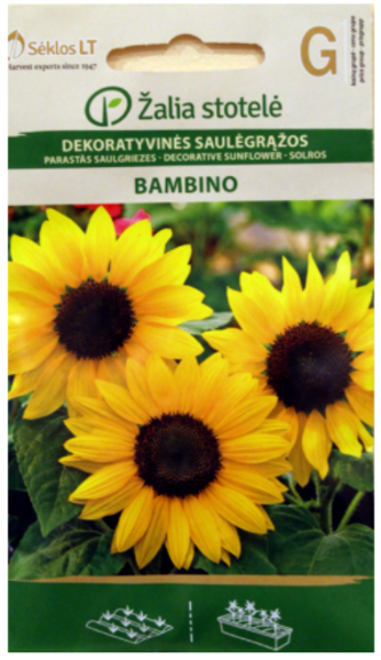 Saulespuķes Bambino 1g