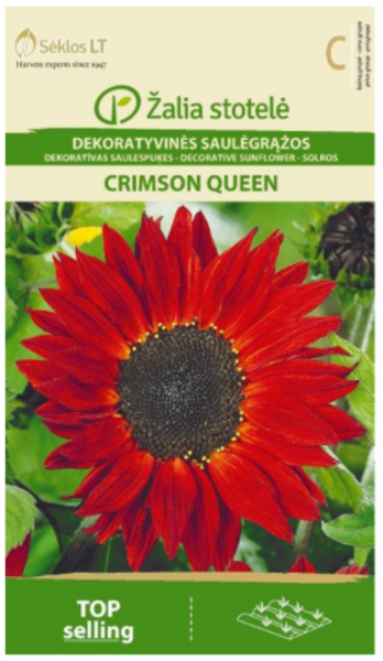 Saulespuķes Crimson Queen