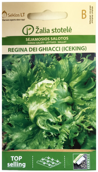 Salāti galviņu REGINA DEI GHIACCI 1g