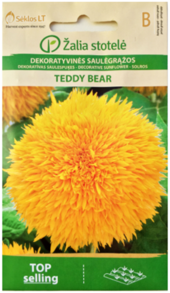 Saulespuķes TEDDY BEAR 2g