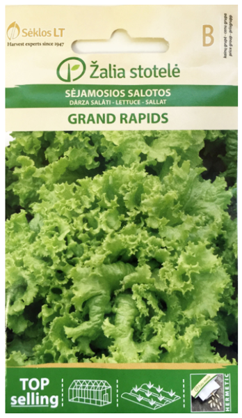 Salāti lapu GRAND RAPIDS 2g