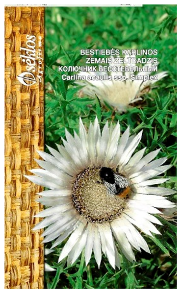 Zeltdadzis zemais