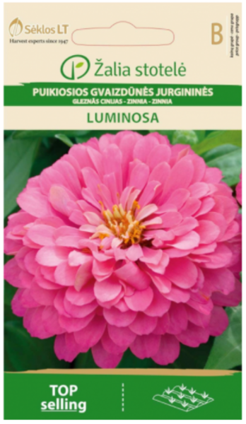 Cinijas Dāliju LUMINOSA 1g