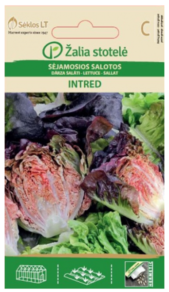 Salāti romiešu Intred 0,1g