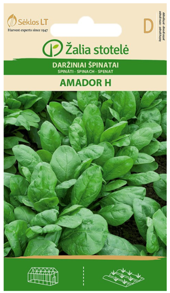 Spināti Amador H 5g