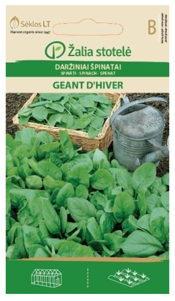 Spināti GEANT D'HIVER 3g