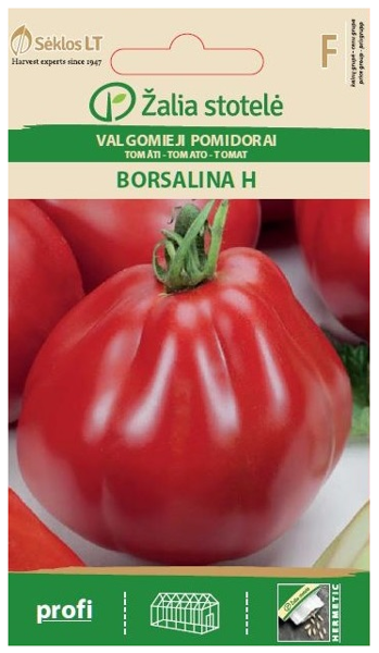 Tomāti BORSALINA H 7s