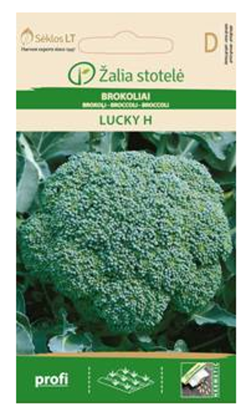 Brokoļi LUCKY H 30s