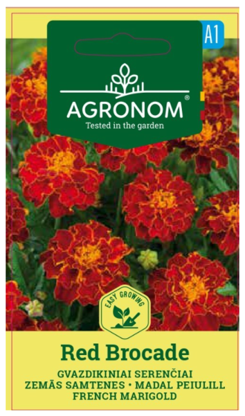 A Samtenes zemās RED BROCADE