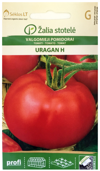 Tomāti URAGAN H 0.1g