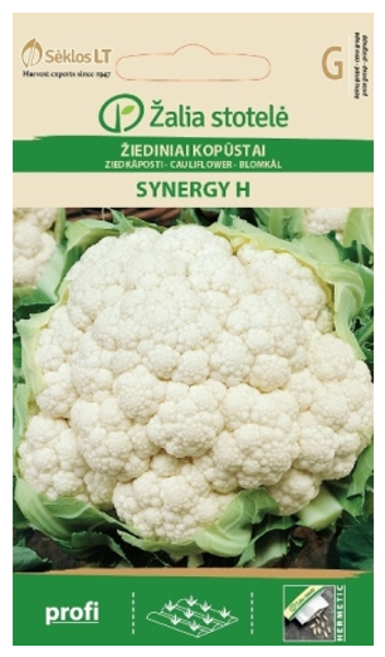 Ziedkāposti SYNERGY H 15s