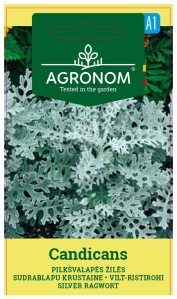 A Sudrablapu Krustaine CANDICANS