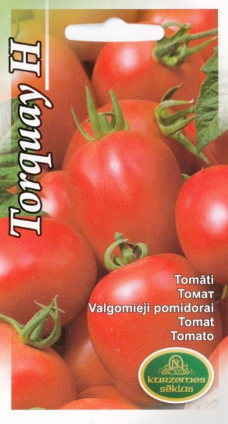 Tomāti Torquay H