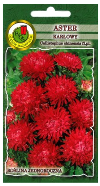 Asteres zemās Sarkanas 0.8g