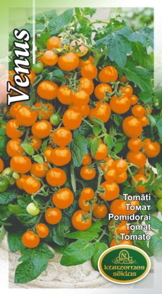 Tomāti Venus