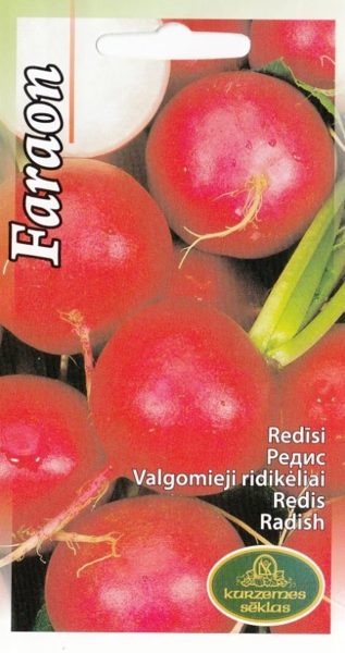 Redīsi Faraon