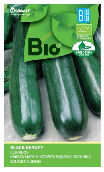Cukini Black Beauty (Bio) 1g