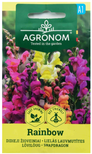 A Lauvmutītes lielās RAINBOW